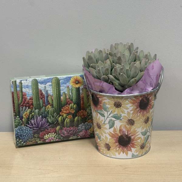 Sunny Succulent & Puzzle