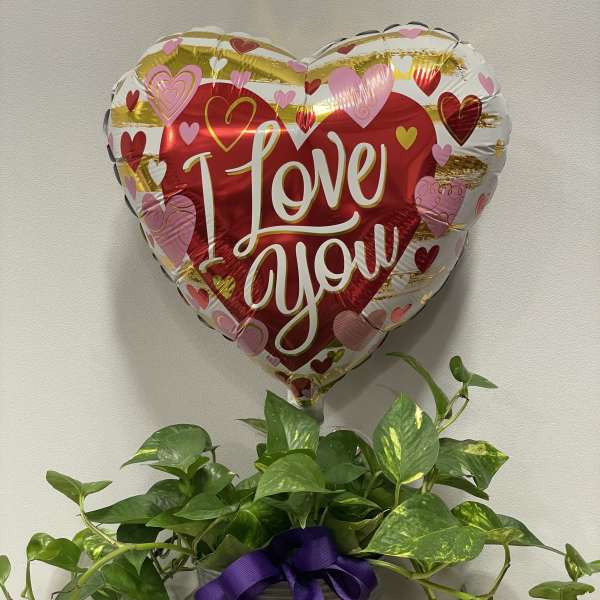 Heart-shaped "I Love You" balloon above a potted pothos plant
