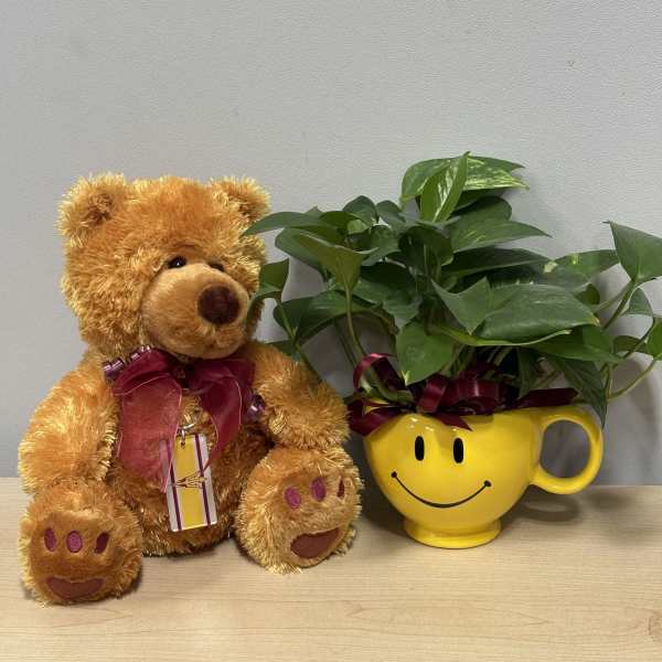 Teddy bear beside a potted plant in a yellow smiley-face mug