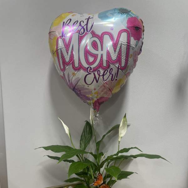 Best Mom Ever #2
