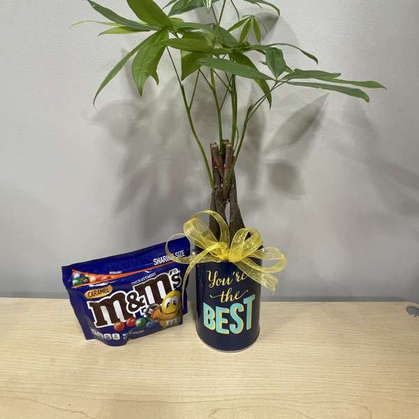 Potted money tree with a candy bag and a "You're the Best" gift container