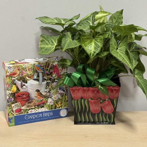 Potted green houseplant in a decorative tulip-print bag beside a bird puzzle box