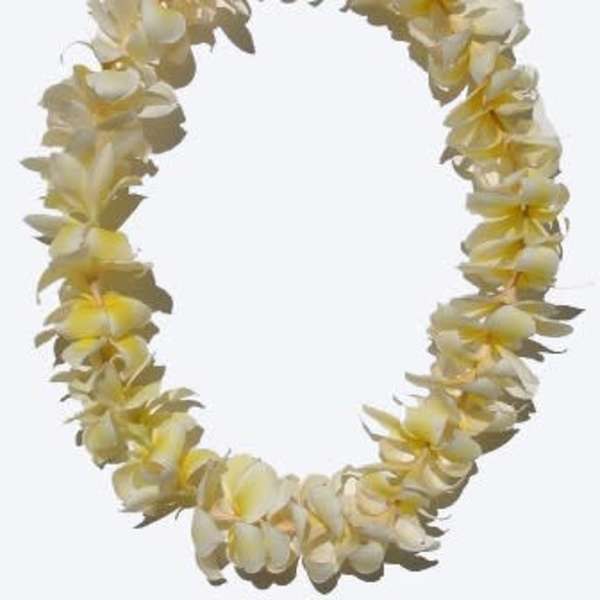 Cream and yellow flower lei on a white background