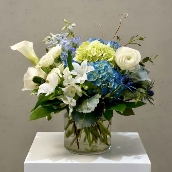 White&Blues