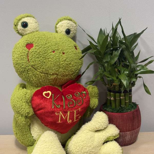 Plush frog holding a heart beside a potted bamboo plant