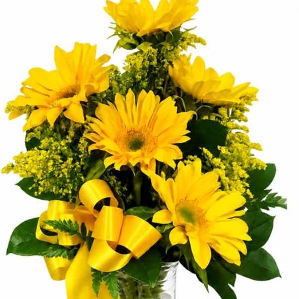 Spectacular Sunflowers
