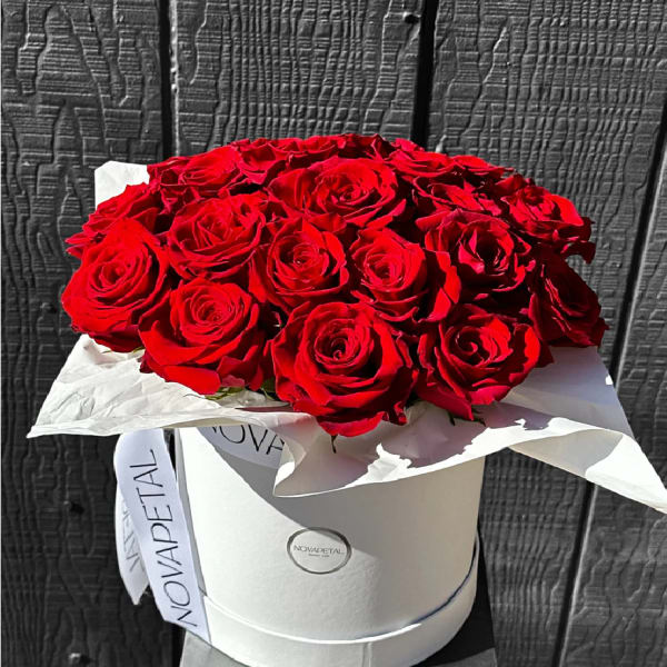 Red roses arranged in a white round box with a ribbon