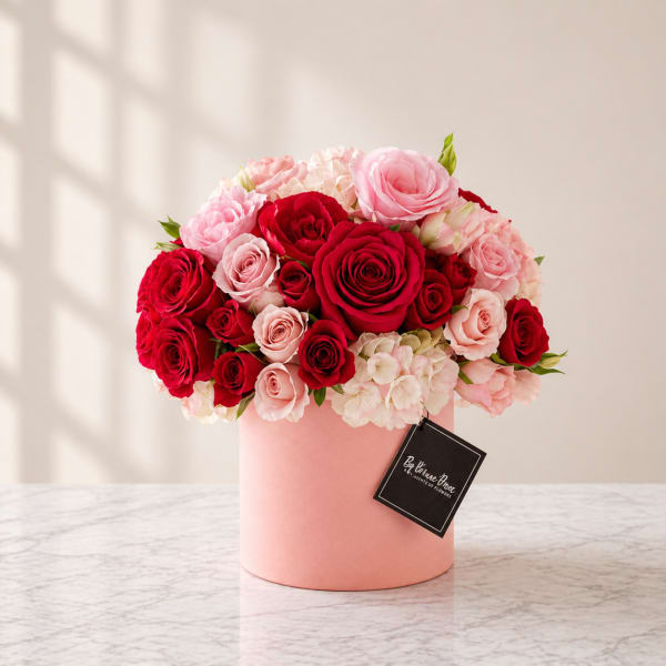 Velvet Blush