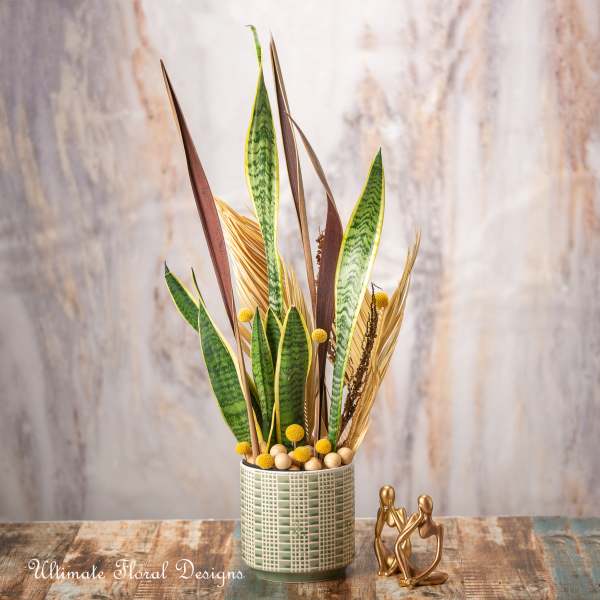 Tall arrangement of snake plant leaves in a patterned ceramic vase
