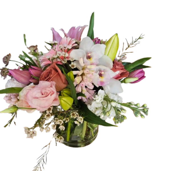 Blush Orchid Garden