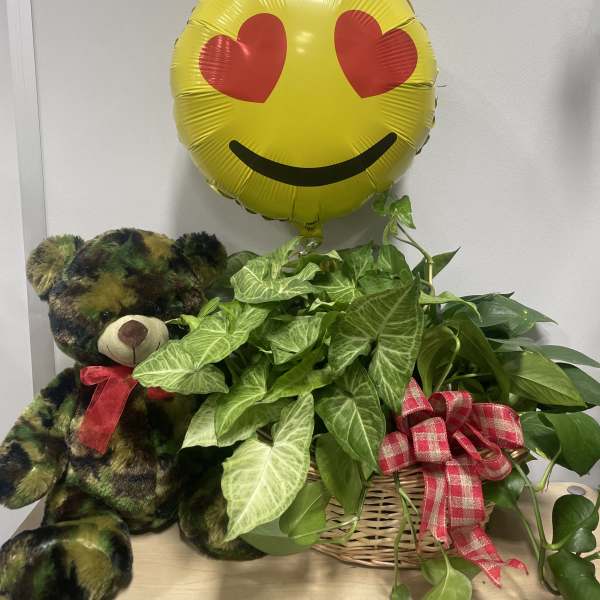 Potted green plants in a wicker basket with a teddy bear and heart-eyes balloon