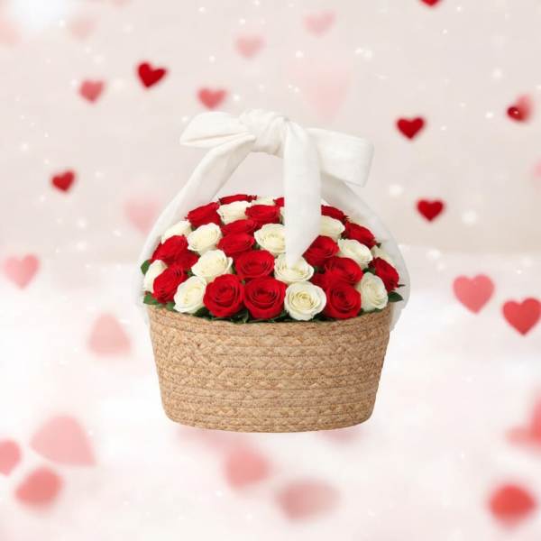 LoVe in Red and White Roses️