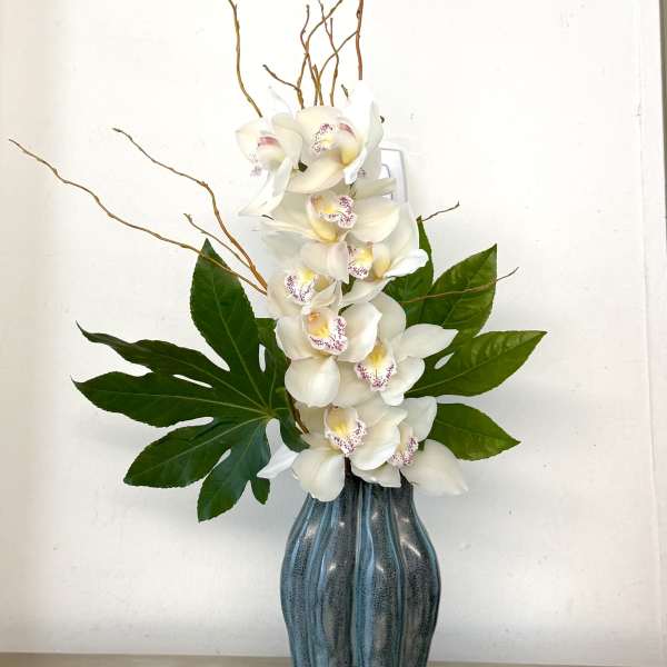 White orchids in a tall blue vase with large green leaves and curly branches