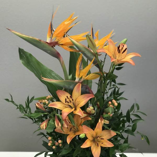 Tangerine Paradise