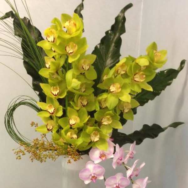 Orchid Orquesta