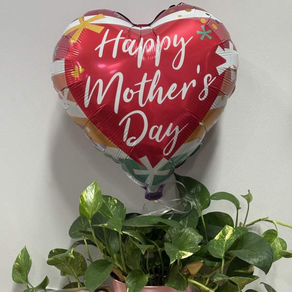 Mother’s Day Planter & Chocolates