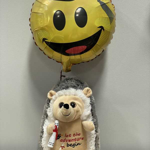 Smiley-face balloon above a plush hedgehog holding a diploma