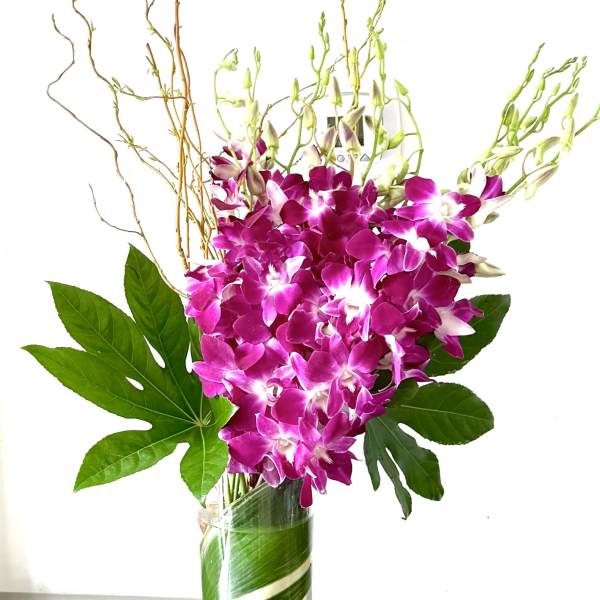 Purple orchids in a tall glass vase with large green leaves
