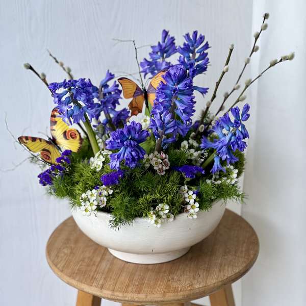 Hyacinth Medow