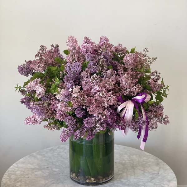 Lilac Bliss