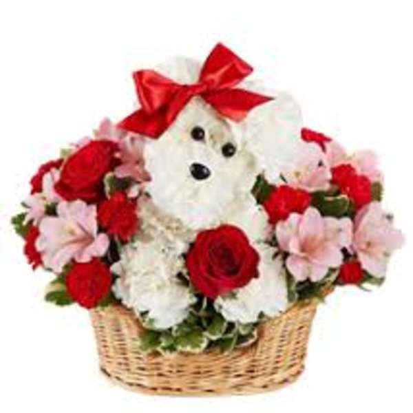 White teddy bear in a basket surrounded by red and pink flowers