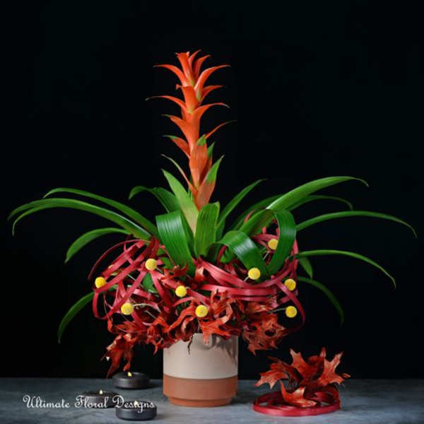Tropical floral arrangement with orange blooms in a two-tone vase