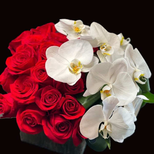 ORCHIDS AND ROSES