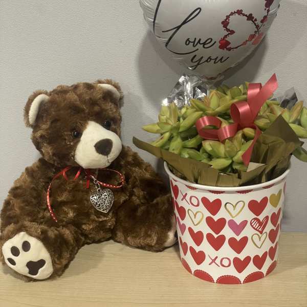 Teddy bear beside a heart balloon and a potted succulent gift