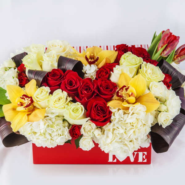 Vibrant Valentine