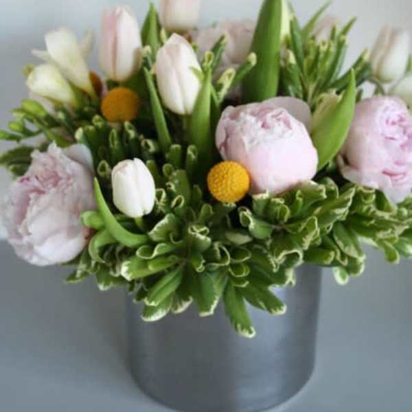 Peony Princess