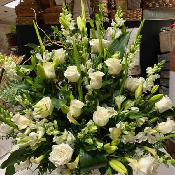 Premium White
