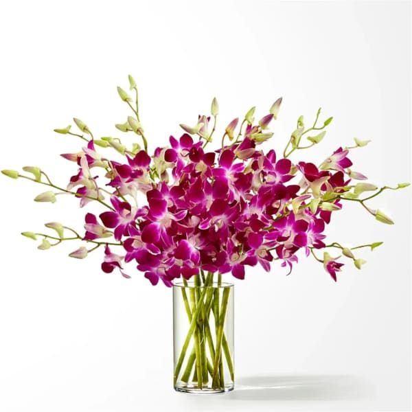 Magenta orchids arranged in a clear glass vase