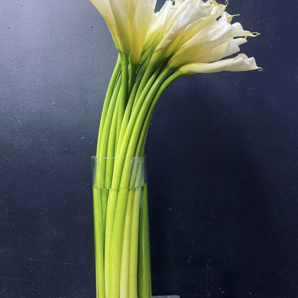 White calla lilies in a clear glass vase