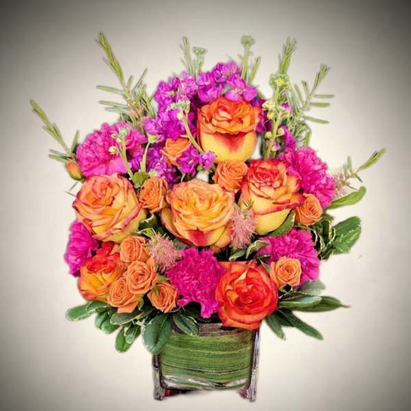 Fiesta Blooms