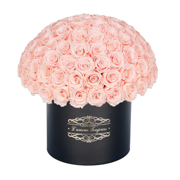 100 Pink Everlasting Roses - Black Signature Box