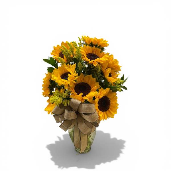 Sunflower Frenzy