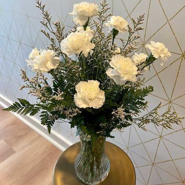 Carnations