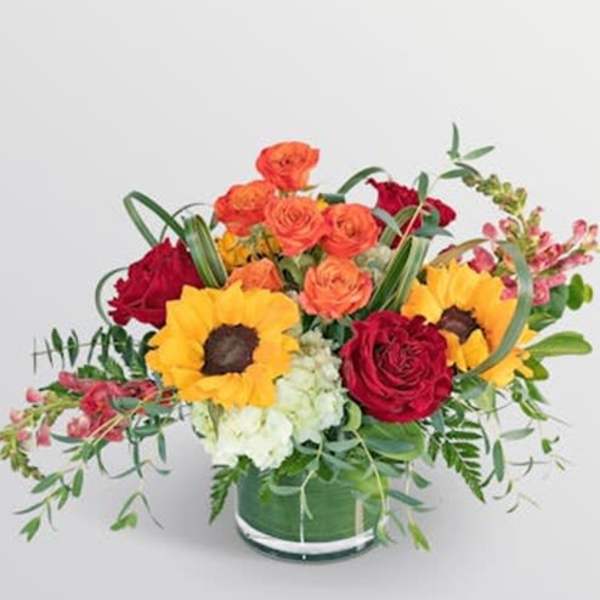 Autumn Blooms