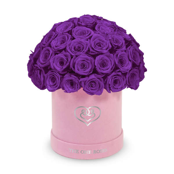 Purple roses arranged in a pink round box