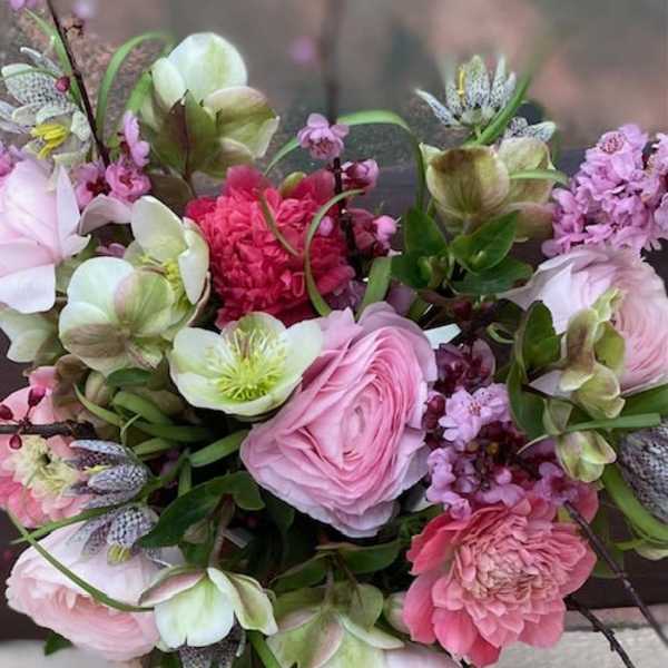 Eternal spring