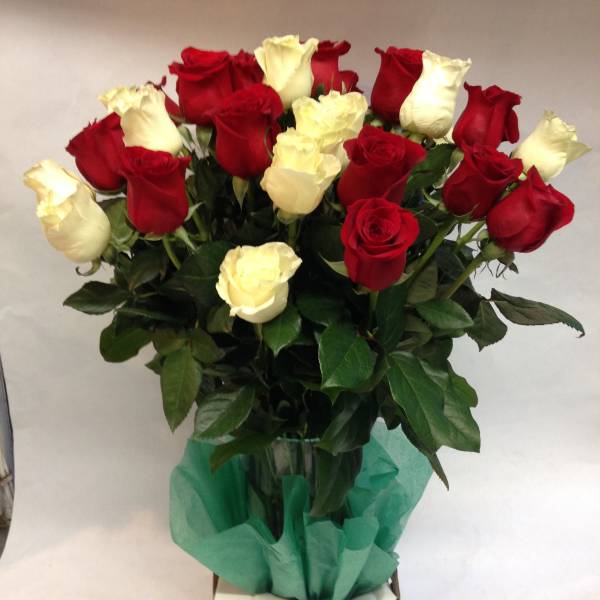 Whites and Reds