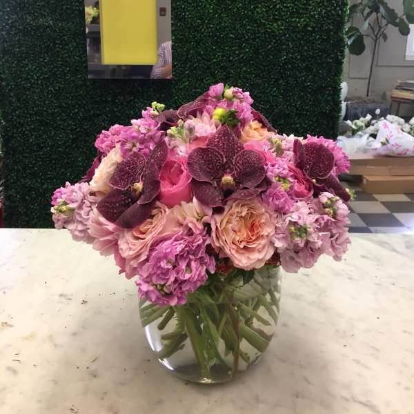 Pink Passion