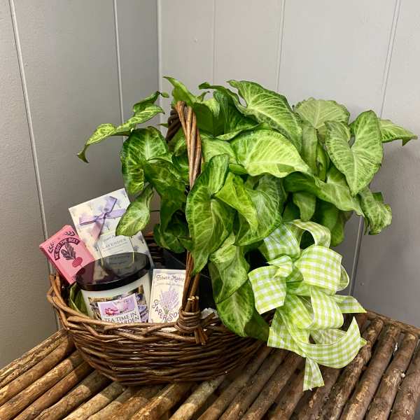 Wicker basket with a leafy plant, ribbon, and small gift items