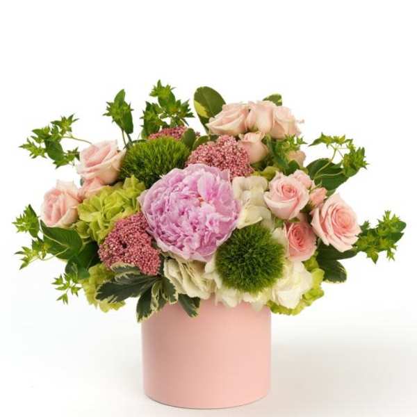 Ruffled Charm