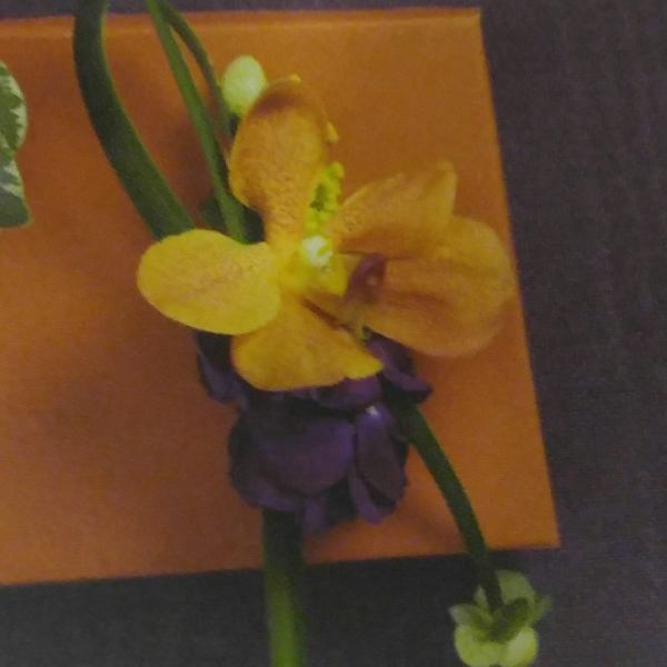 sunset boutonniere