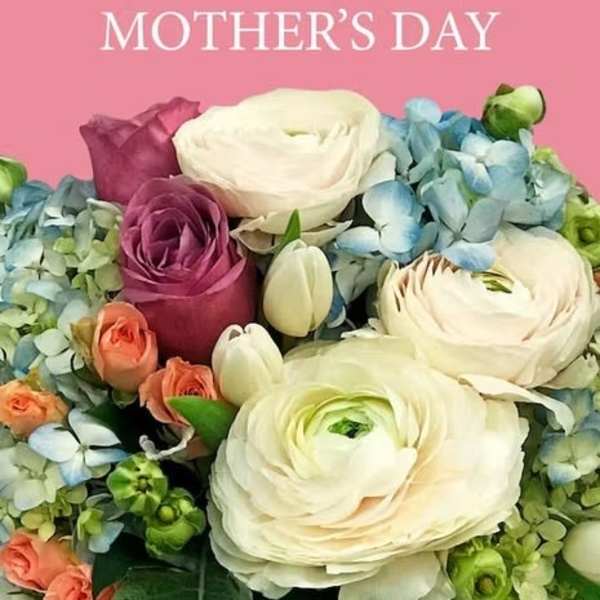 Mother's Day designer's choice bouquet with white flowers, pink roses, peach blooms, and blue hydrangeas