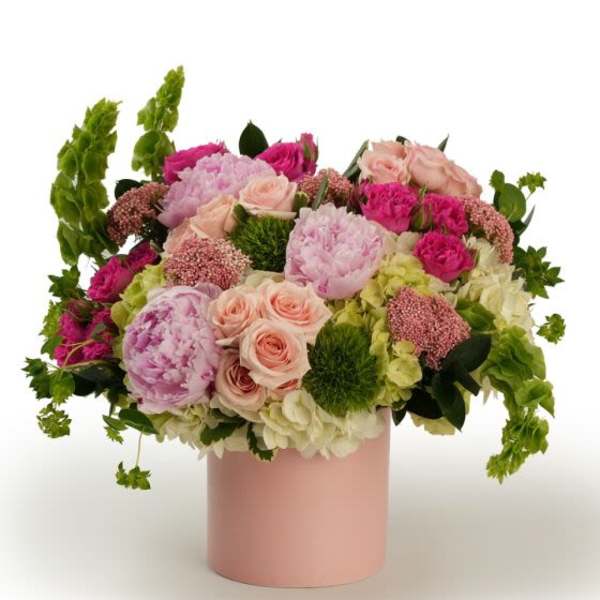 Peony Abundance