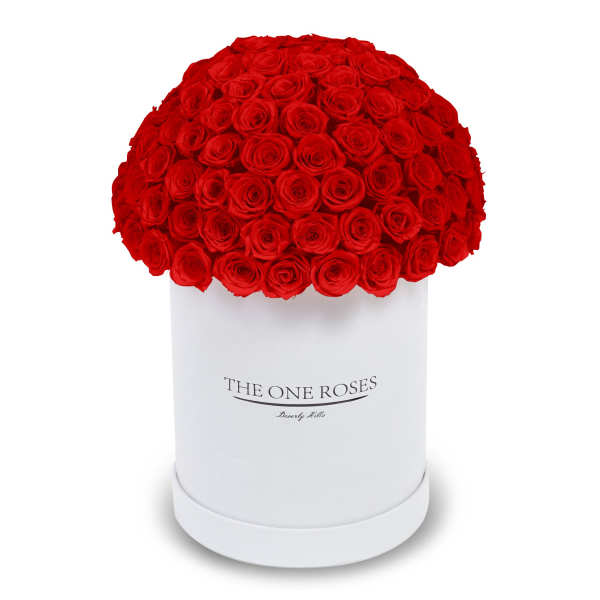 Red roses arranged in a white cylindrical box