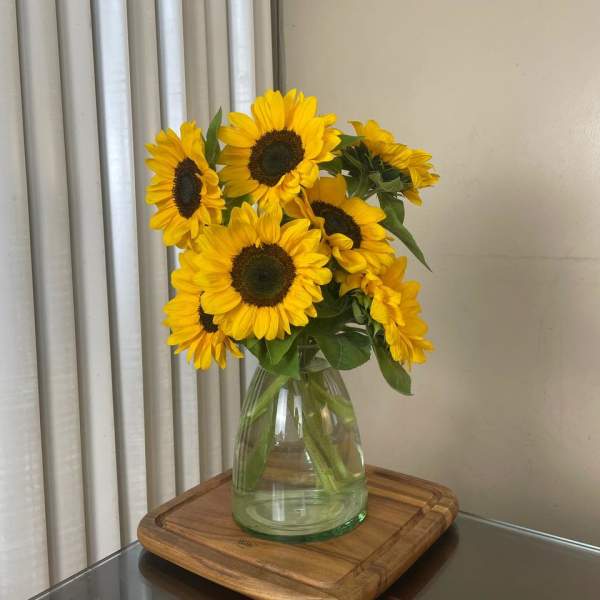 SUNFLOWERS DOZEN