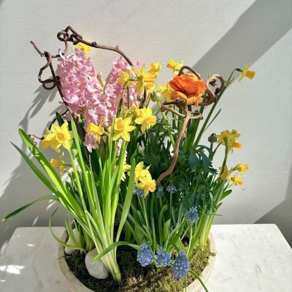 Spring Symphony